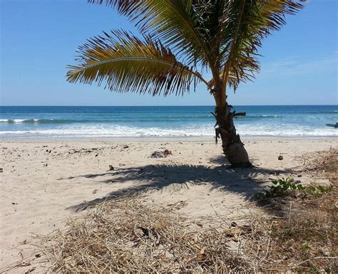 Playa Guiones: Where Seaweed Dreams Come True